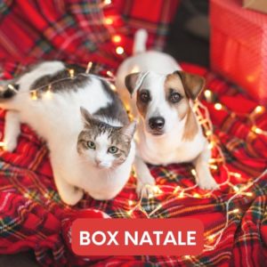 box-natale-cani