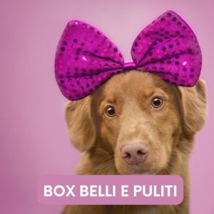 box-belli-puliti