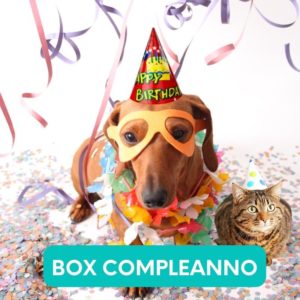 box-buon-compleanno